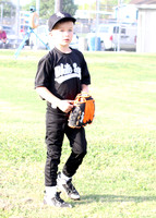 IMG_0427e